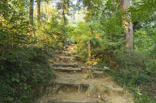 登山道.jpg